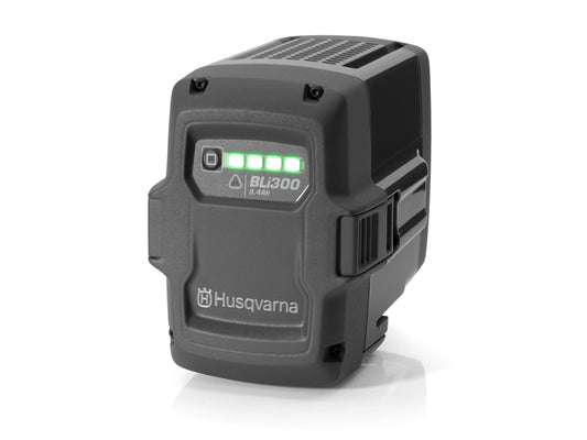 סוללת ליתיום BLi300