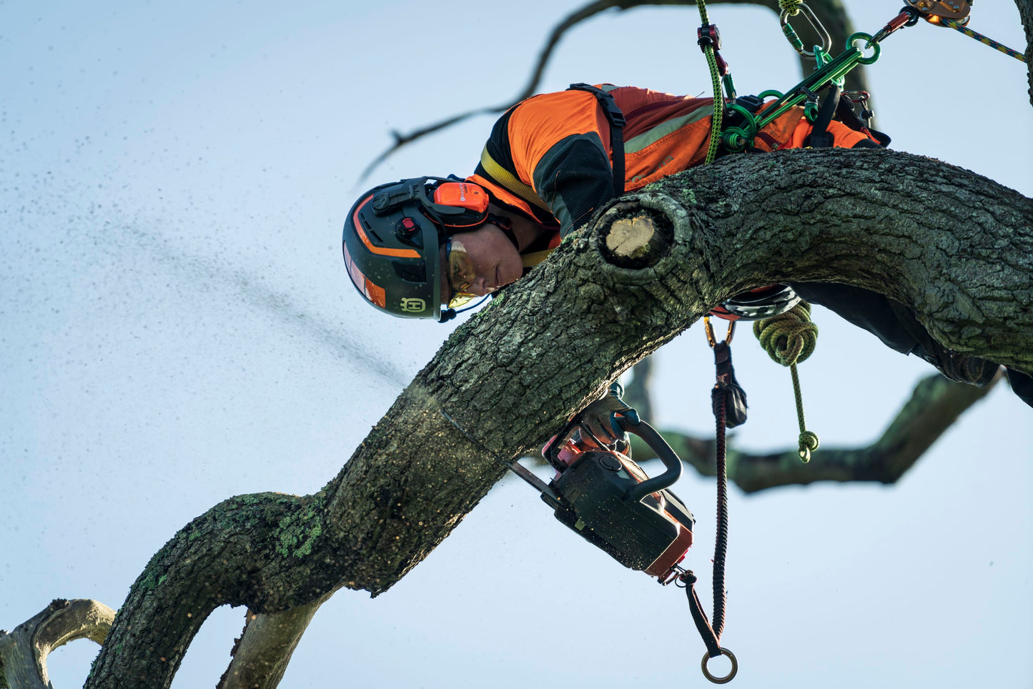 משור הנפה נטען T540iXP